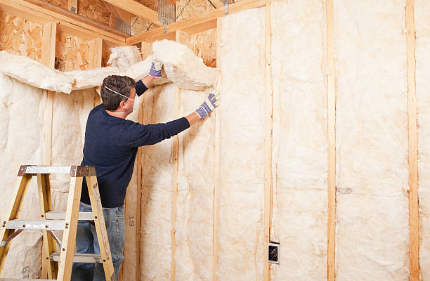 Professional Insulation Services in Centreville, IL